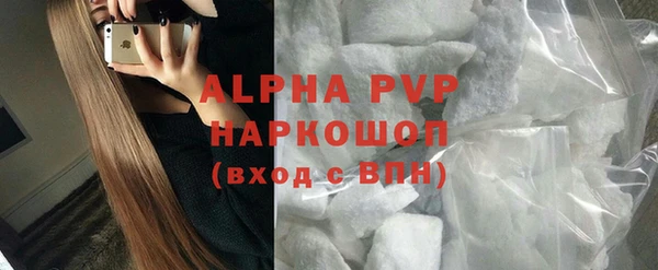 прущий лед Бородино
