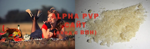 прущий лед Бородино