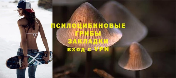 прущий лед Бородино