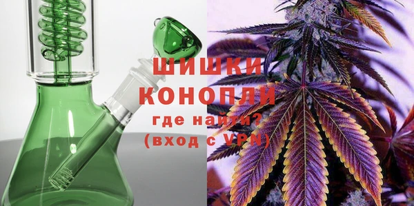 прущий лед Бородино