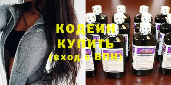 прущий лед Бородино