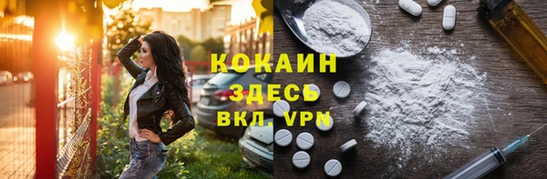 прущий лед Бородино